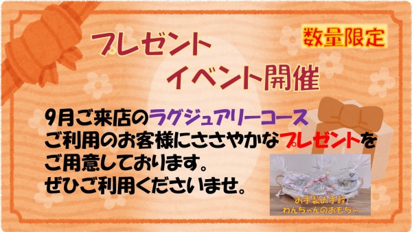 9月トリミングイベント【川口店】サムネイル