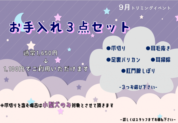 9月トリミングイベント【佐野店】サムネイル