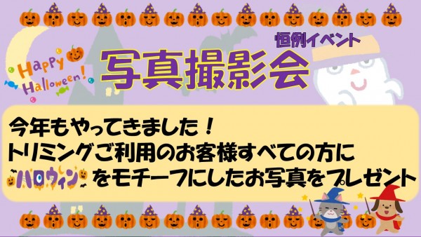 10月トリミングイベント【川口店】サムネイル