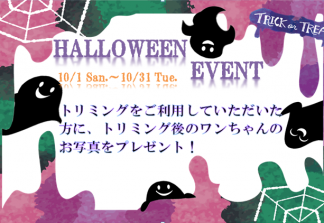 10月のトリミングイベント【館林店】サムネイル