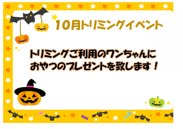 １０月トリミングイベント【鴻巣店】サムネイル