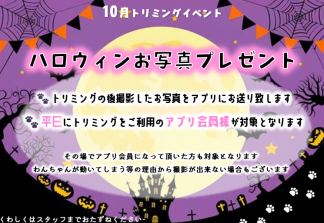 10月トリミングイベント【佐野店】サムネイル