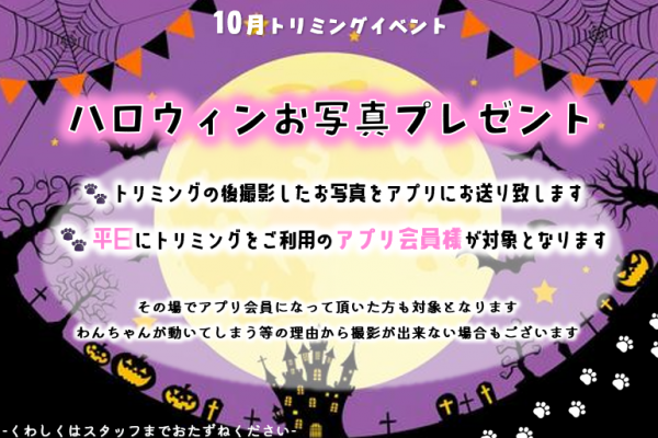 10月トリミングイベント【佐野店】サムネイル