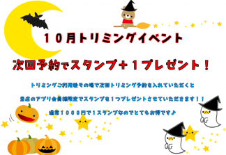 １０月トリミングイベント【ピースタイル佐野南店】サムネイル